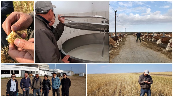 Milchproduktion in Kasachstan. Quelle: ADT