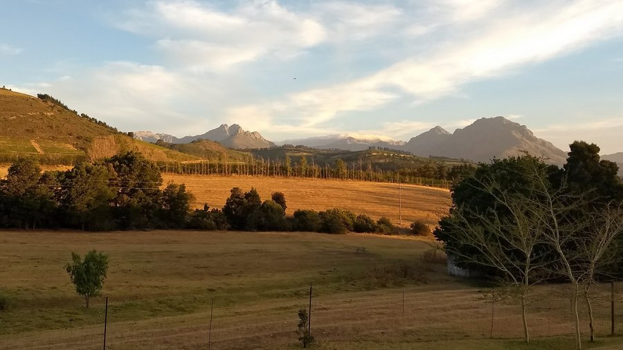 Es ist eine Landschaft des Westkap in Südafrika zu sehen: goldfarbene Felder, etwas Wald und im Hintergrund Berge
